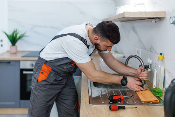 Best Plumbing Services Near Me  in Orlinda, TN